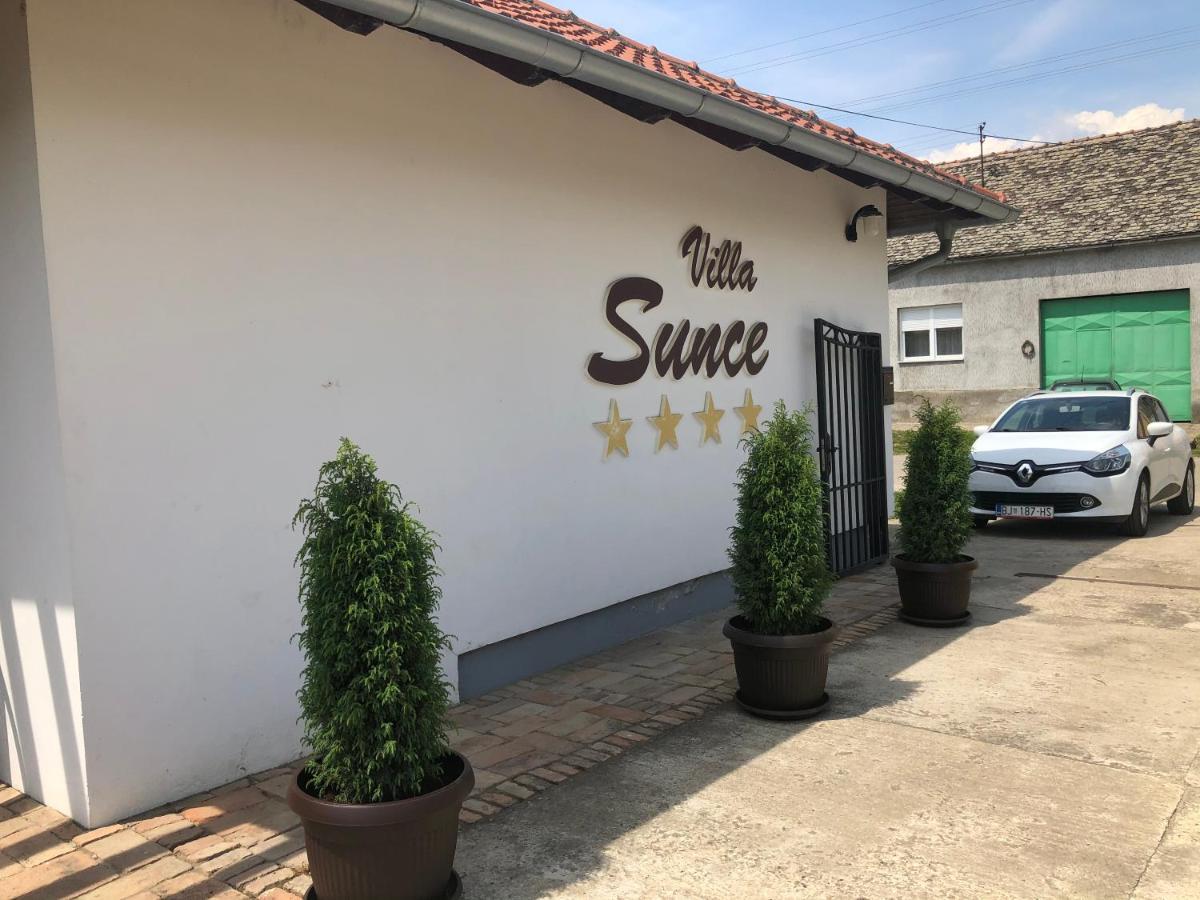 Vila Sunce Morović エクステリア 写真